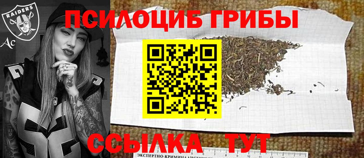 Псилоцибиновые грибы GOLDEN TEACHER  Псилоцибиновые грибы мицелий  Стрежевой  Вход с VPN 