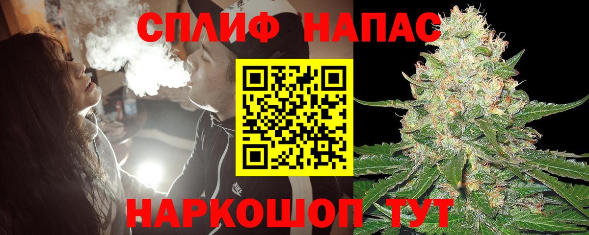 Конопля план  Вход с VPN  Конопля White Widow  Стрежевой  Каннабис сатива 
